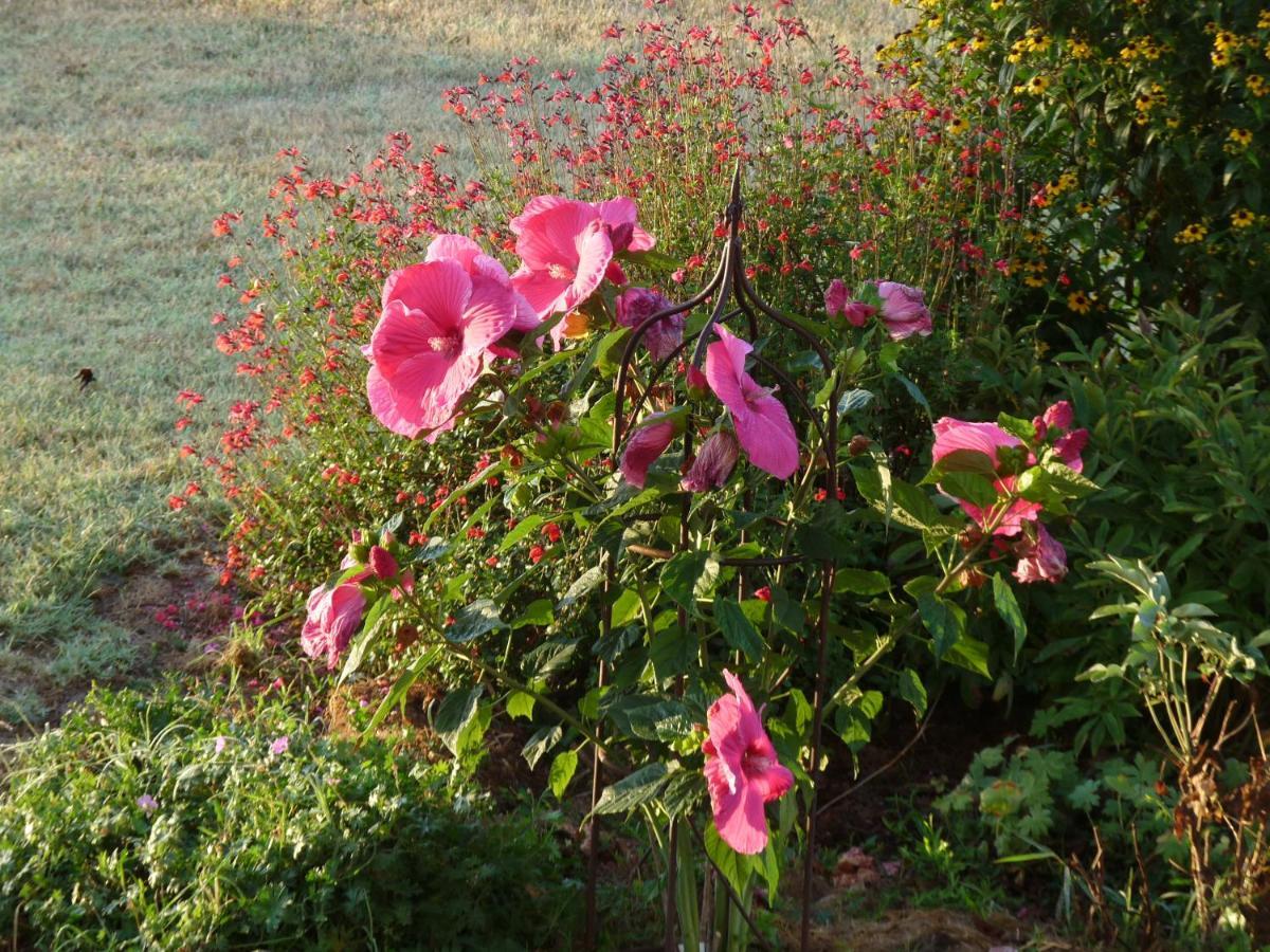 Le Pouy Bed & Breakfast Termes-d'Armagnac Bagian luar foto