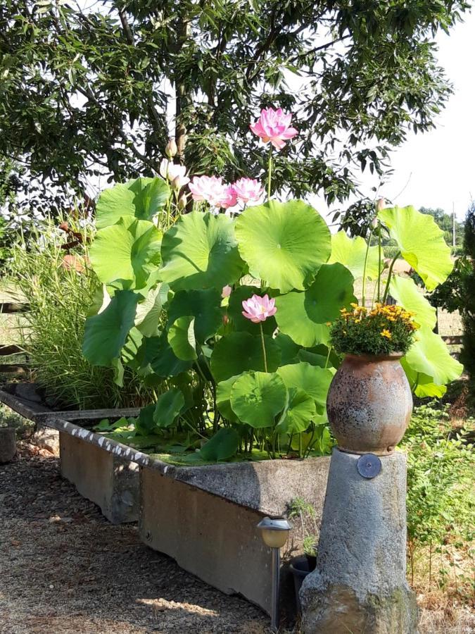 Le Pouy Bed & Breakfast Termes-d'Armagnac Bagian luar foto