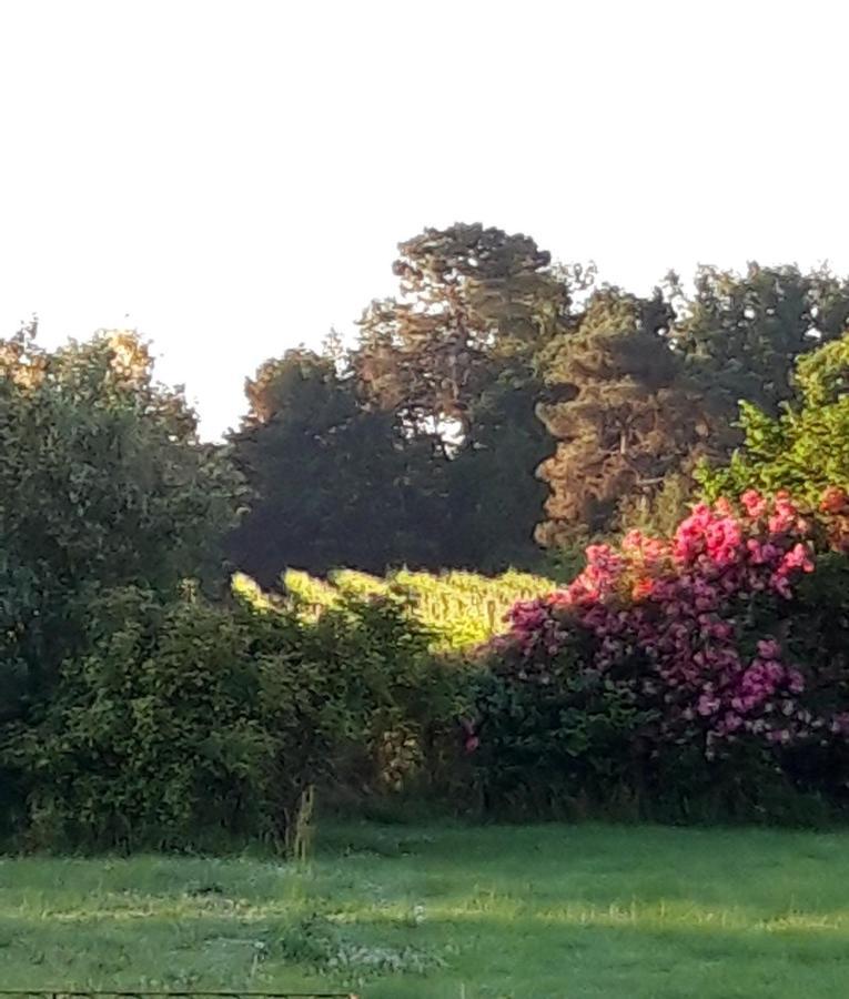 Le Pouy Bed & Breakfast Termes-d'Armagnac Bagian luar foto